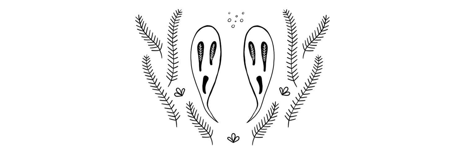 crzeid's profile banner image