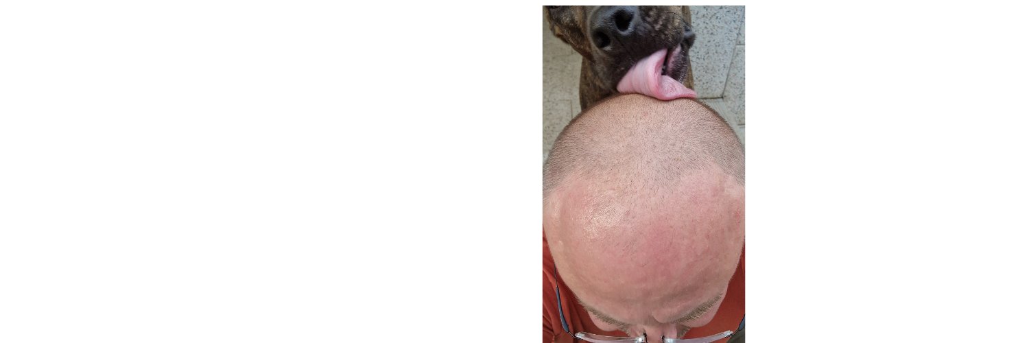 Petr_Vojtech's profile banner image