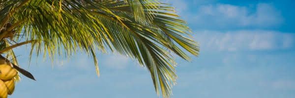 info_naystours's profile banner image