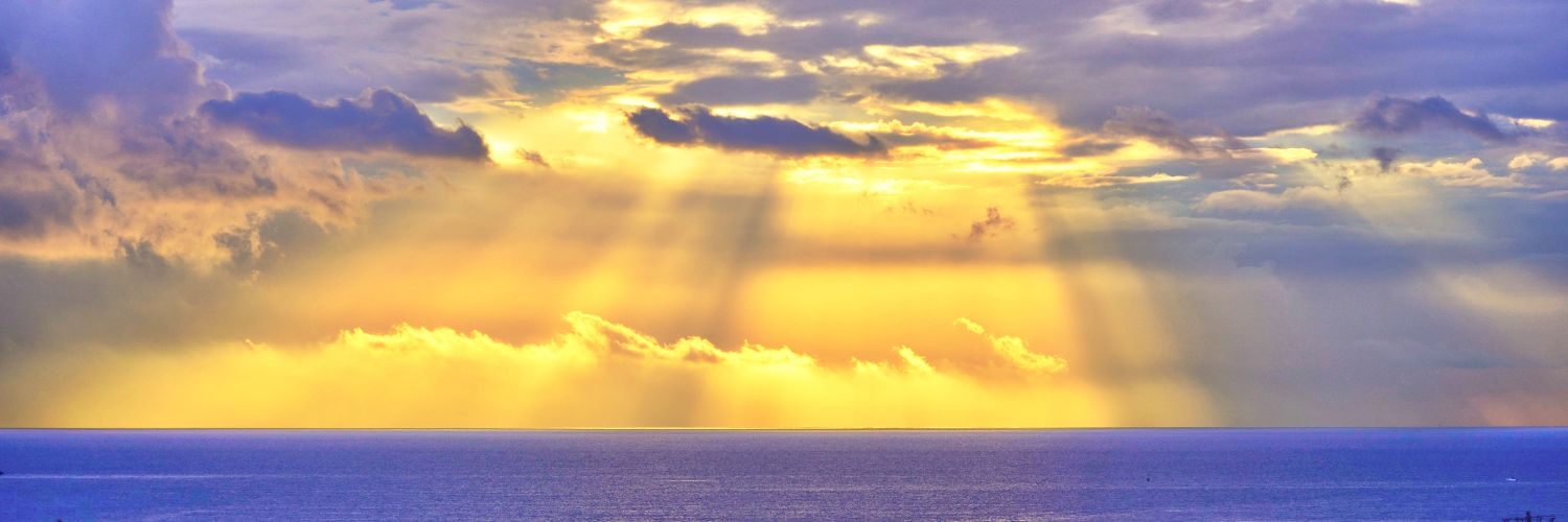 Carlson Chan 🌊🌊🌊 banner