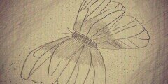 MsCtLiLy's profile banner image