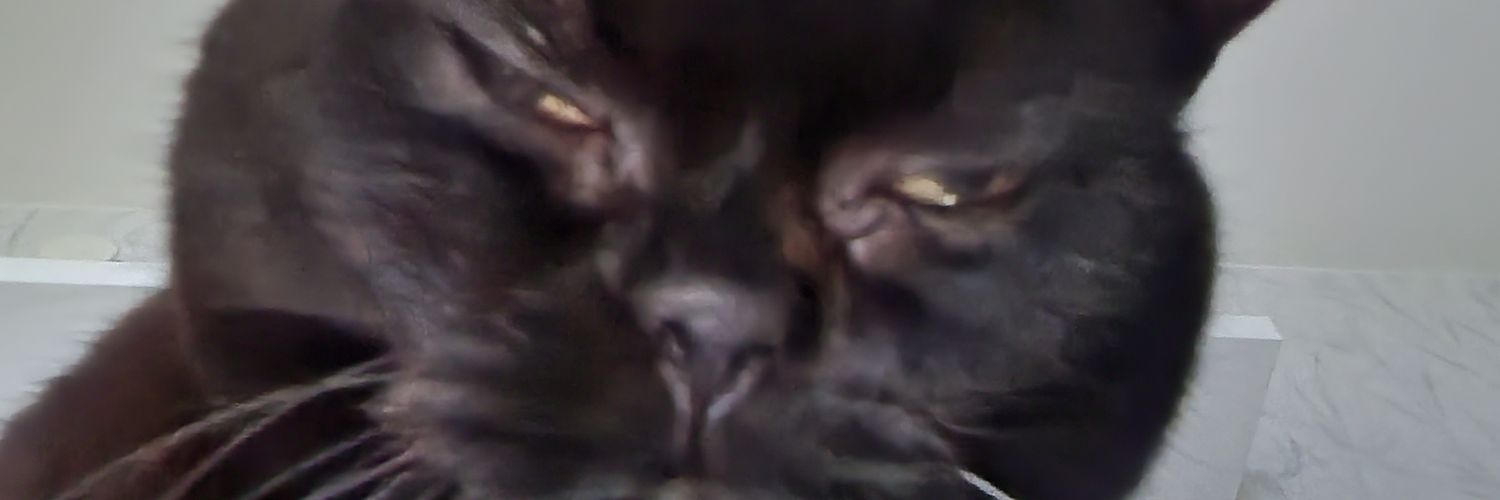 10kiloflens's profile banner image