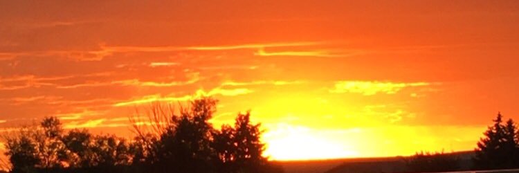 Wes. banner