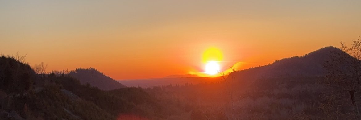 Sammy Peltram banner