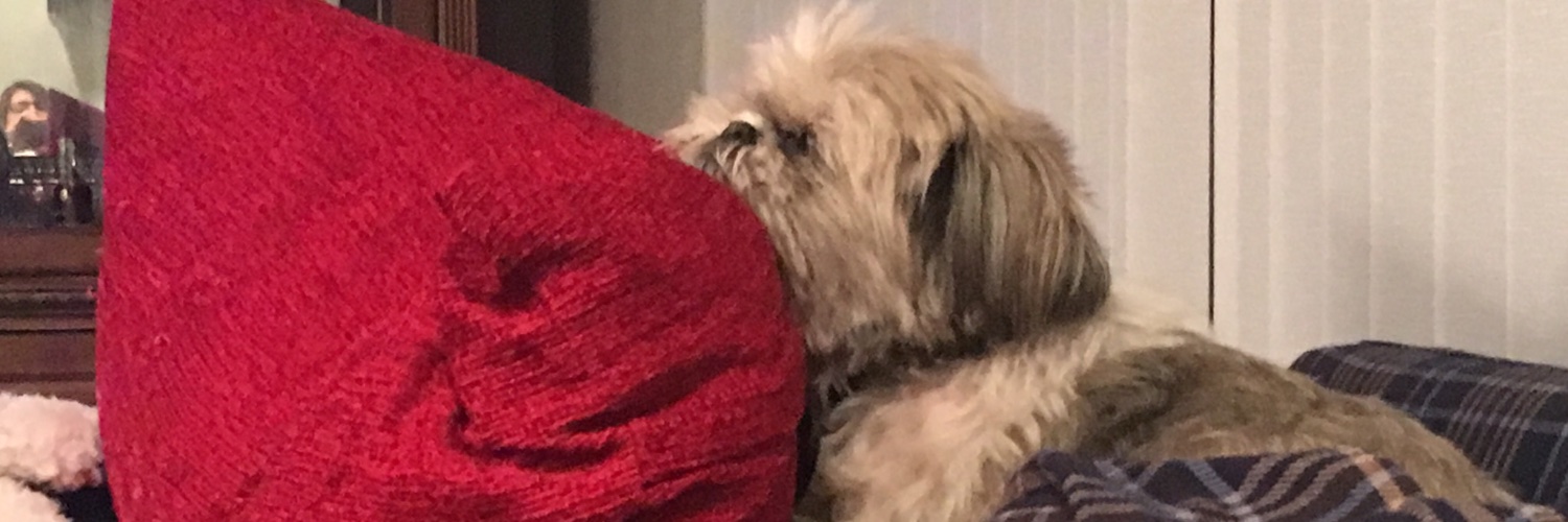PellerOnIce's profile banner image