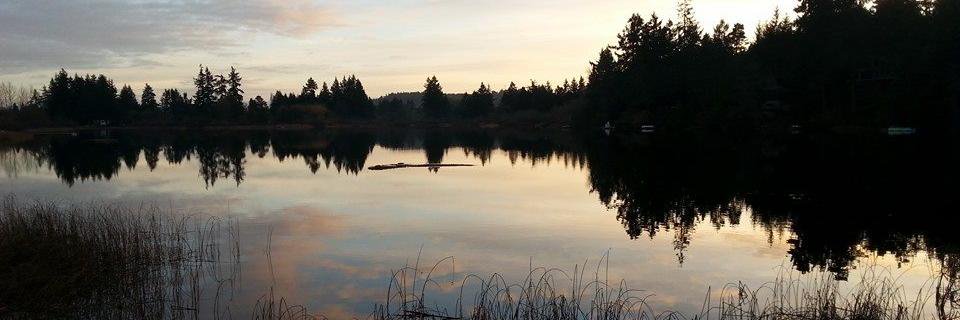 smorlog129's profile banner image