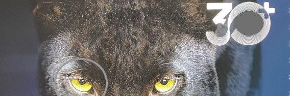 Alshabab_eyes's profile banner image