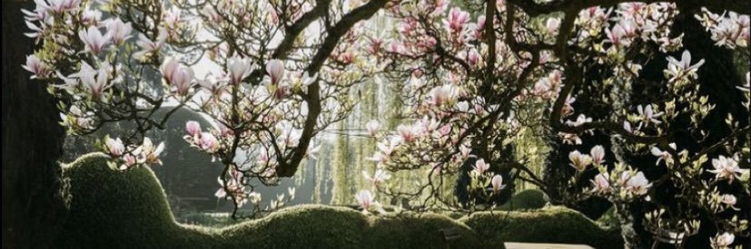 dayalect's profile banner image