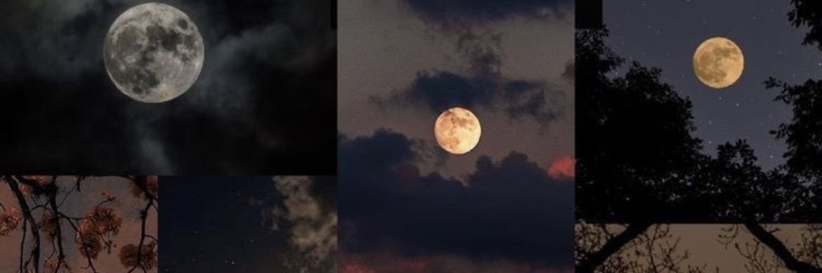 iieeg41's profile banner image