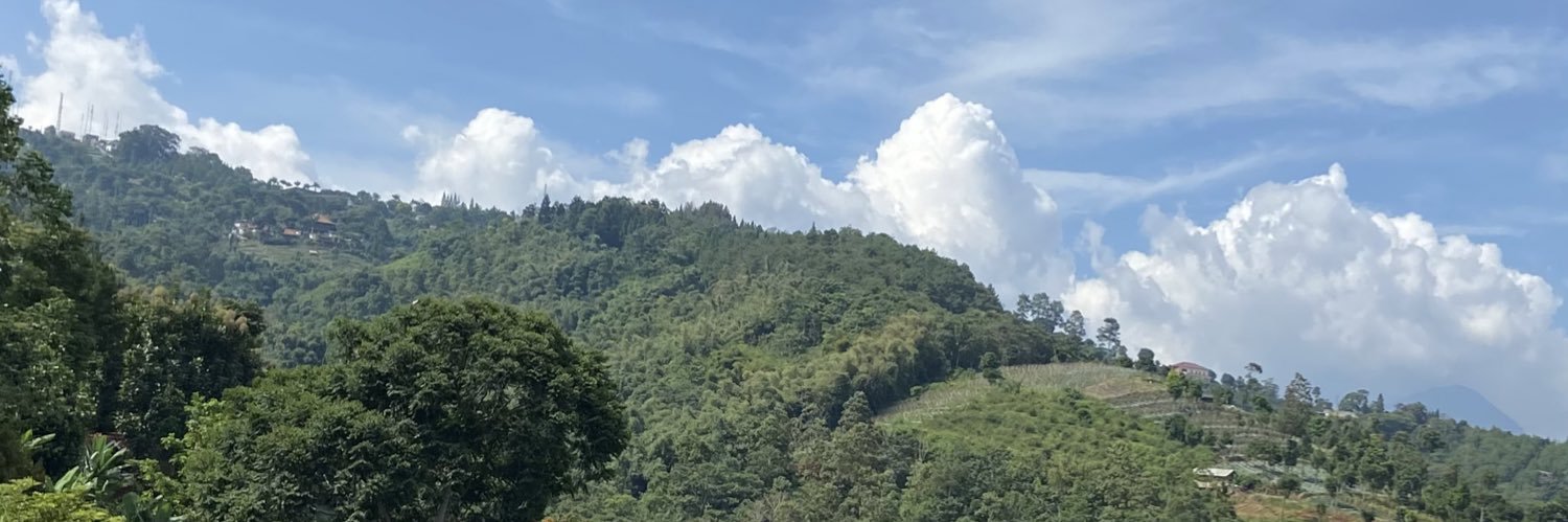 zenadinee's profile banner image