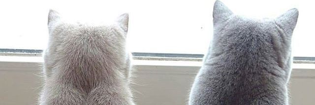 Tffnys_'s profile banner image