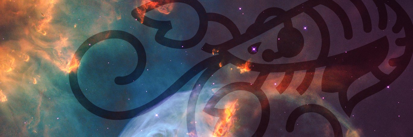 RockLobster🛸 banner