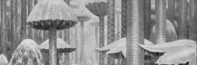 ogest's profile banner image