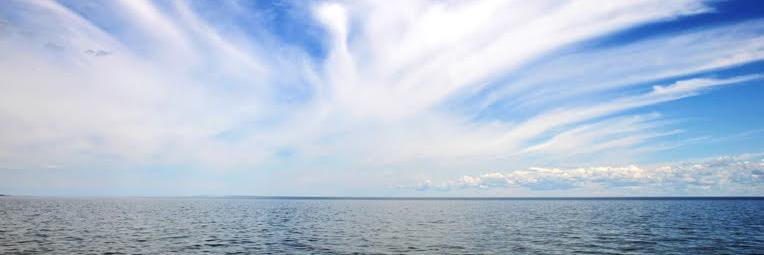 AdamFengChen's profile banner image