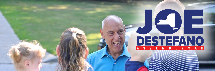 Friends of Joe DeStefano banner