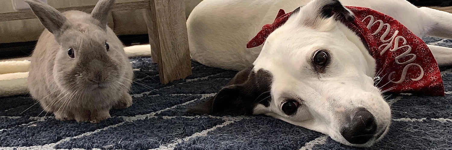Courtnotkriss's profile banner image