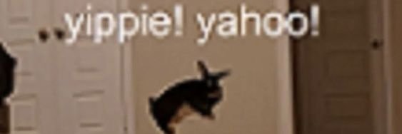 shhdarkishere's profile banner image
