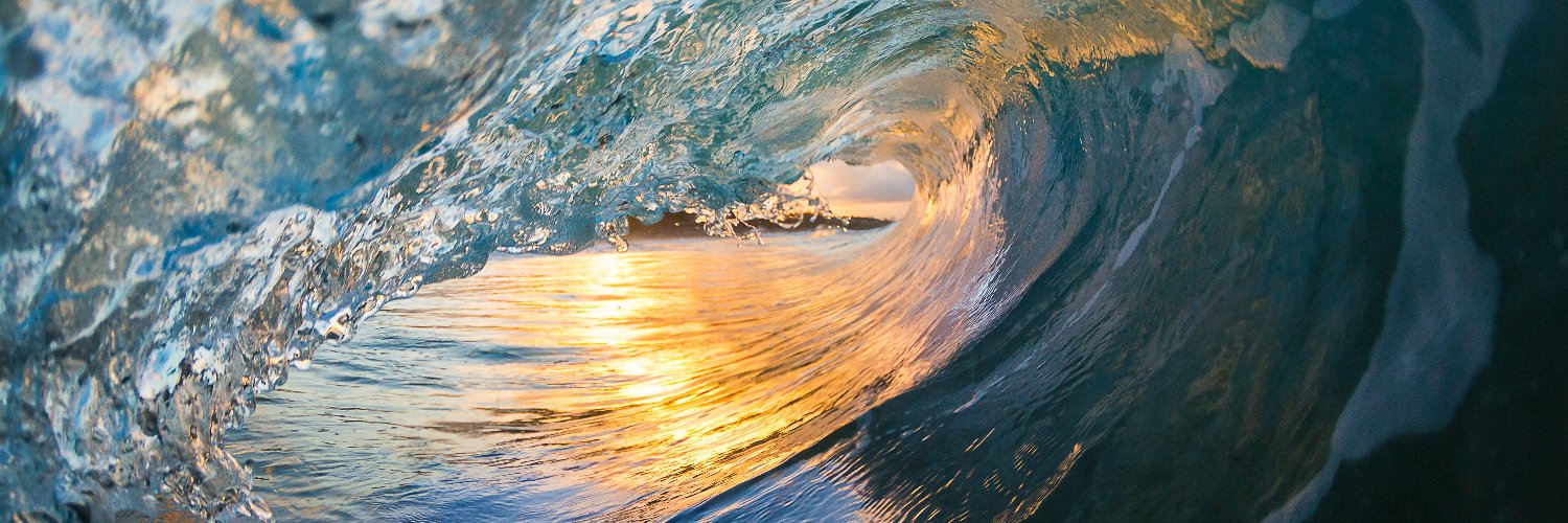 Sunshine Coast Council banner