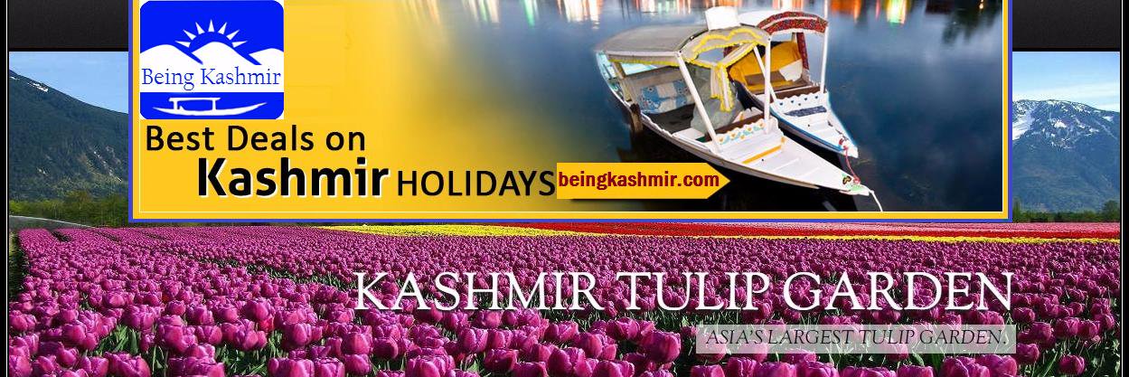 beingkashmir's profile banner image