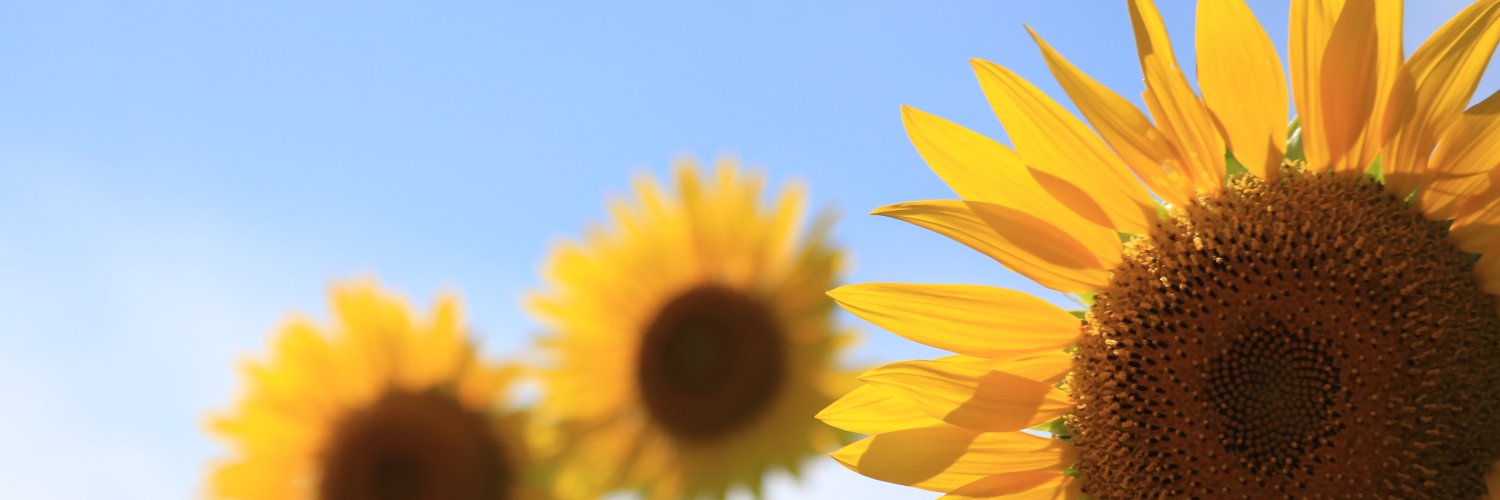 EmbetsuMomochin's profile banner image