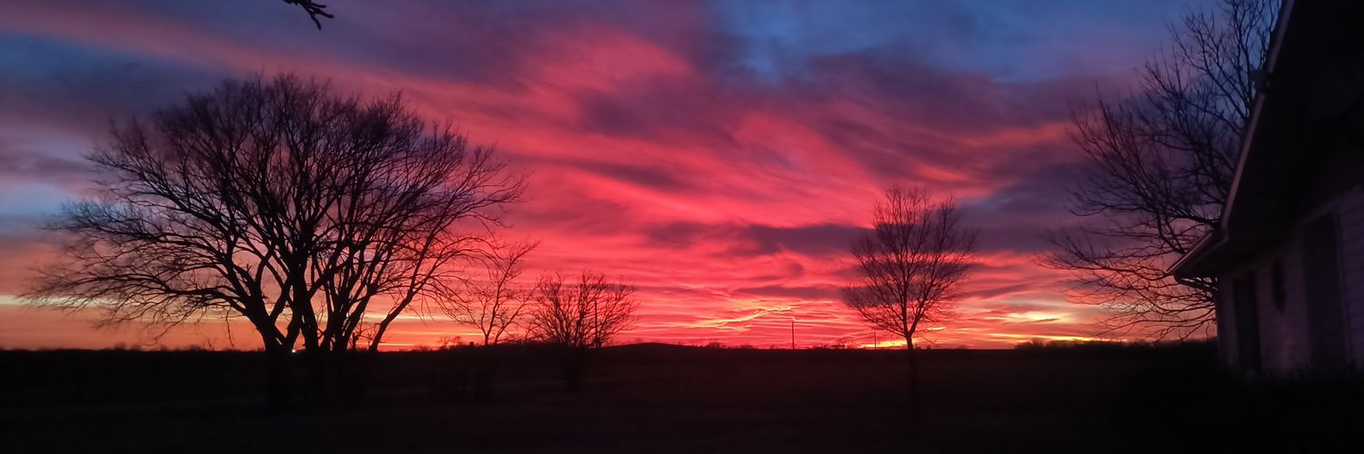 Amanda Taylor banner