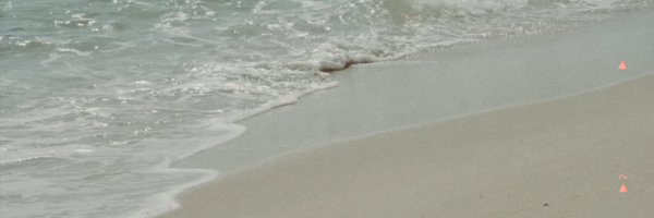 bluelemin Profile Banner