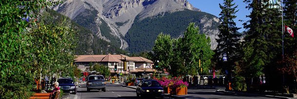 Shannon Conheady banner