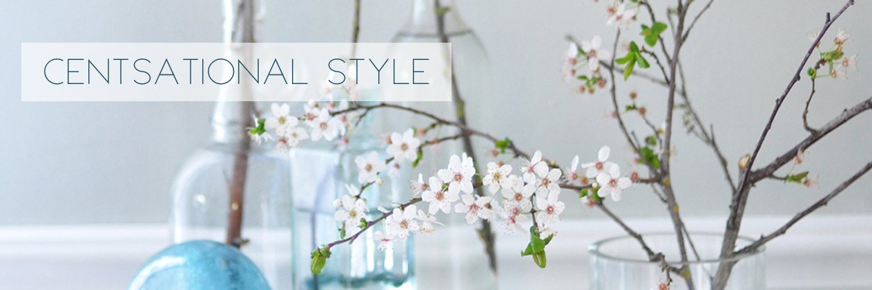 CentsationalGrl's profile banner image
