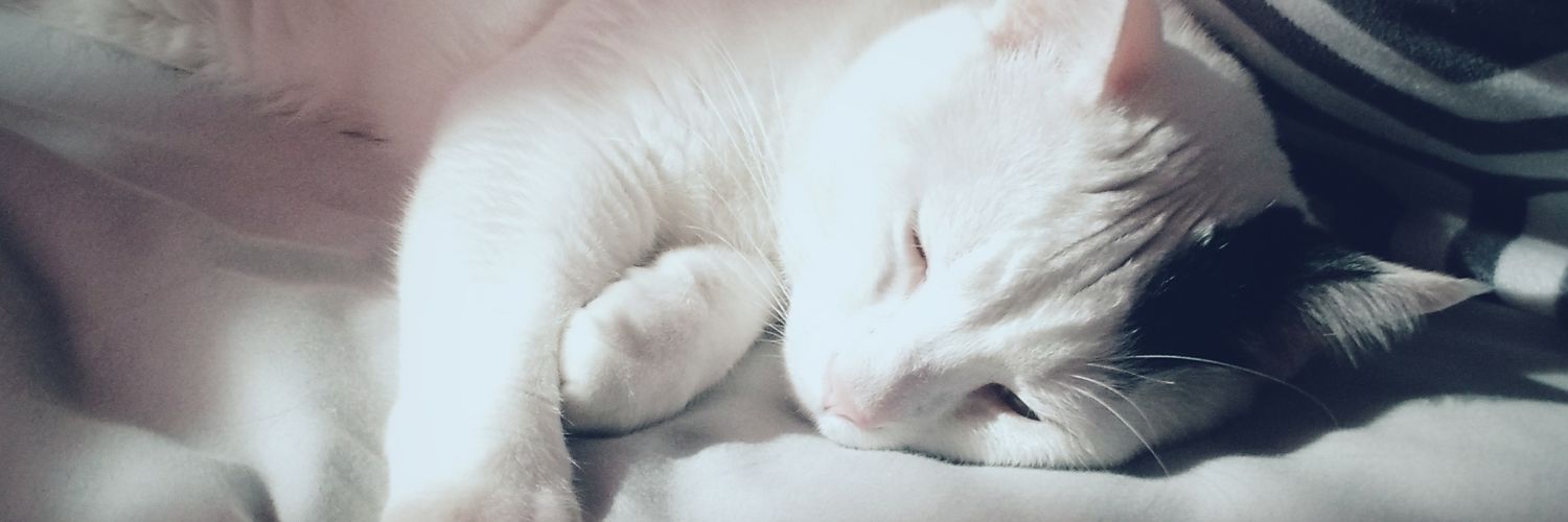 CholasCa's profile banner image