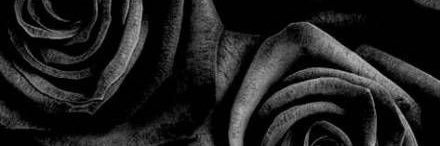 dxslixh's profile banner image