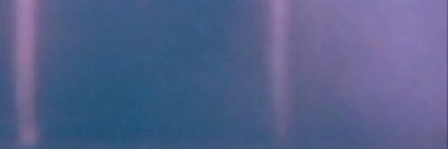 AMuscleFan's profile banner image