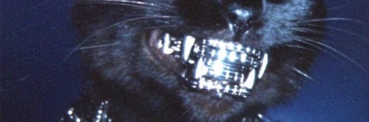 BBlittlestar's profile banner image