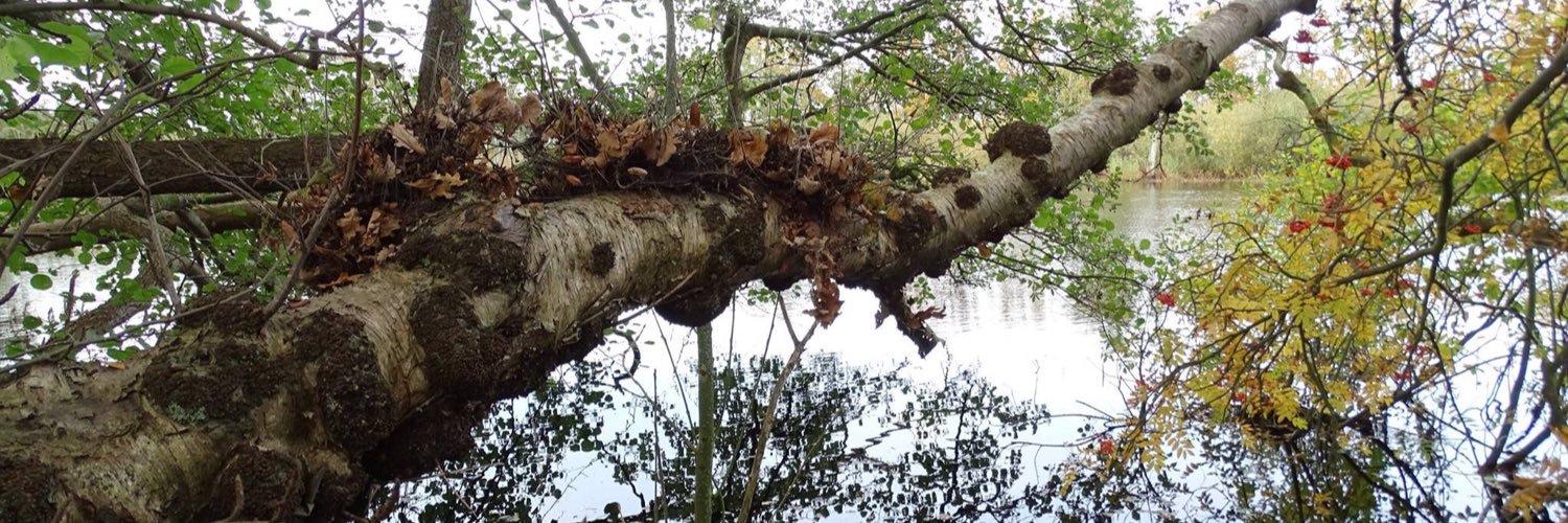 maakbaar2016's profile banner image