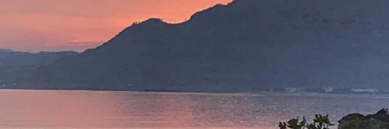 WemDib's profile banner image