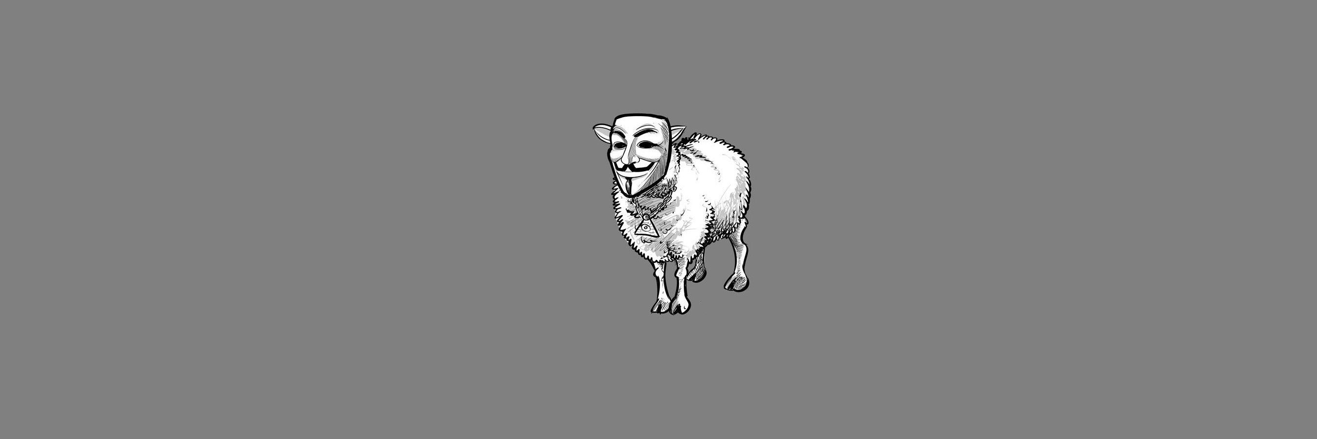 OpNimr banner