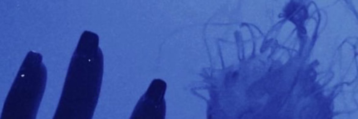 sachan_39's profile banner image