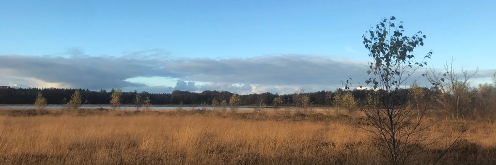 elskeswets's profile banner image