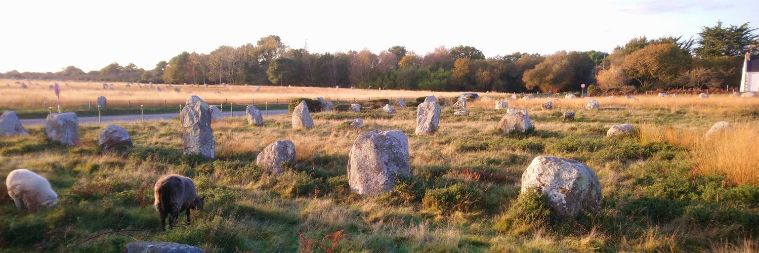 Michel D.V. oise banner