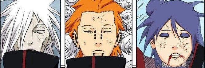 foolishflauzi's profile banner image