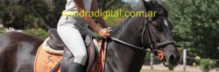 CuencaJaviera's profile banner image