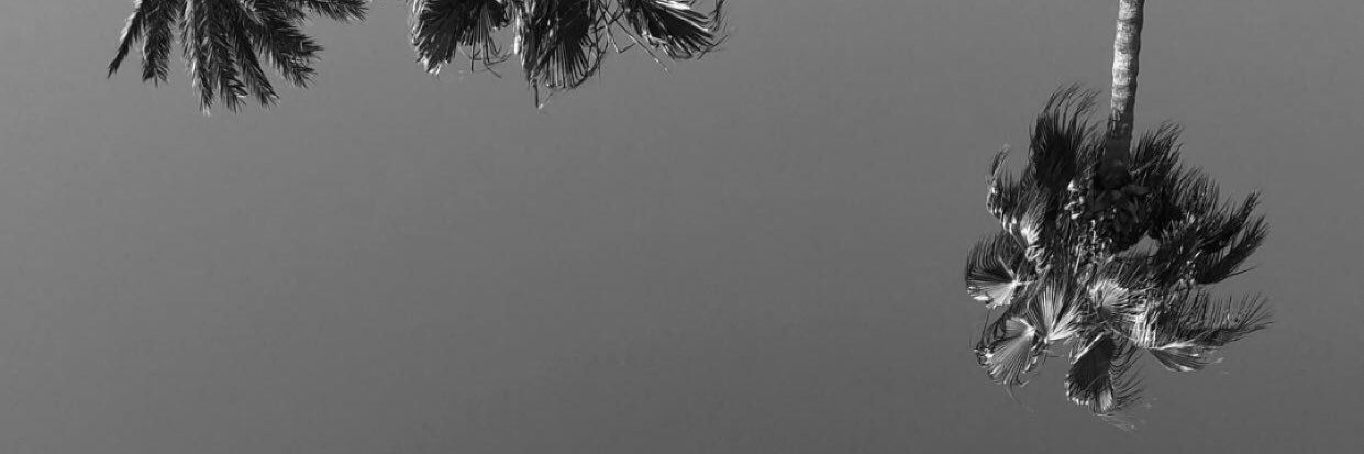 wwdstt's profile banner image