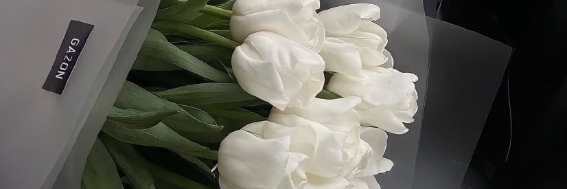 haklisinpelo's profile banner image