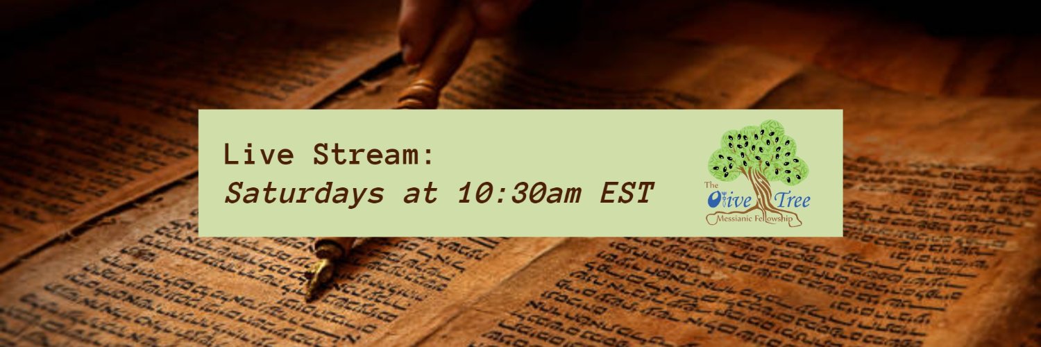 olivetree128's profile banner image