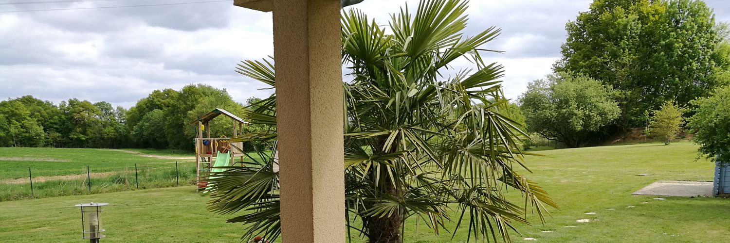 maxmouli's profile banner image