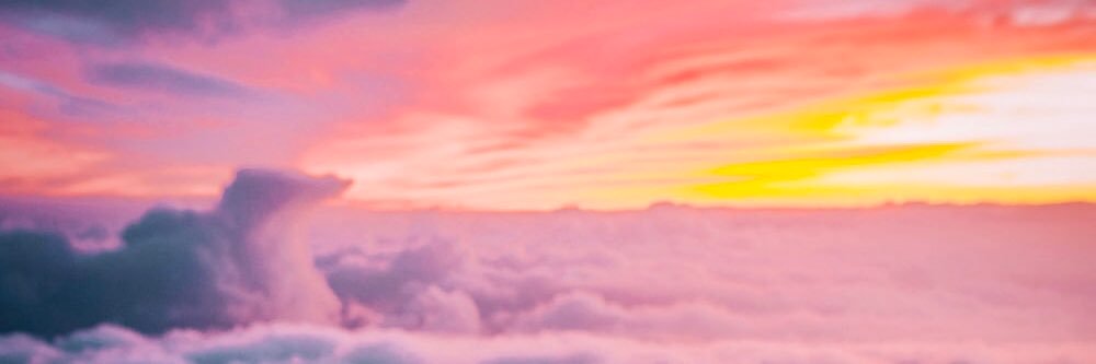 opienko's profile banner image
