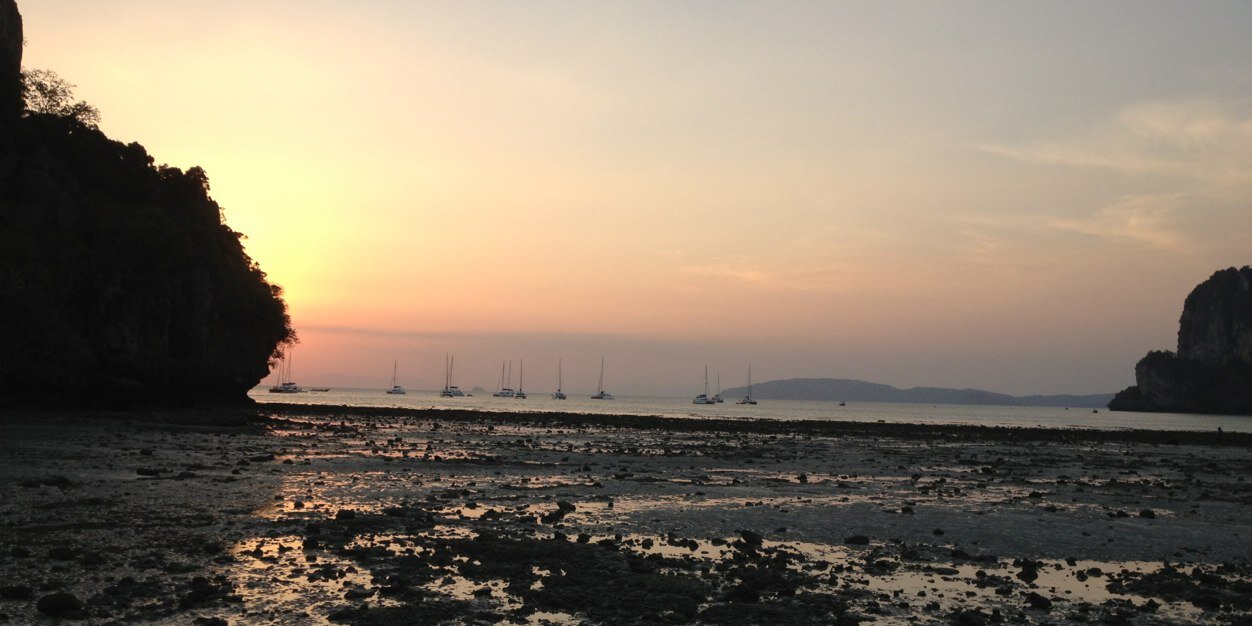 Assaf Garfield banner