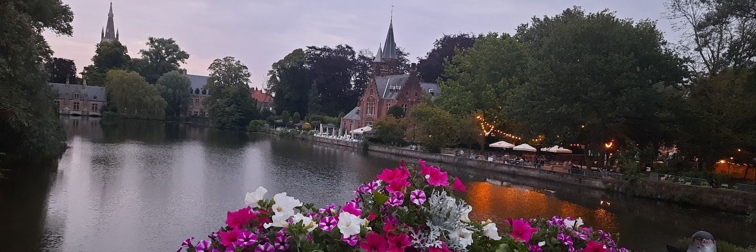 Deepa_The_Desi_Midwife🇮🇳🇬🇧 banner