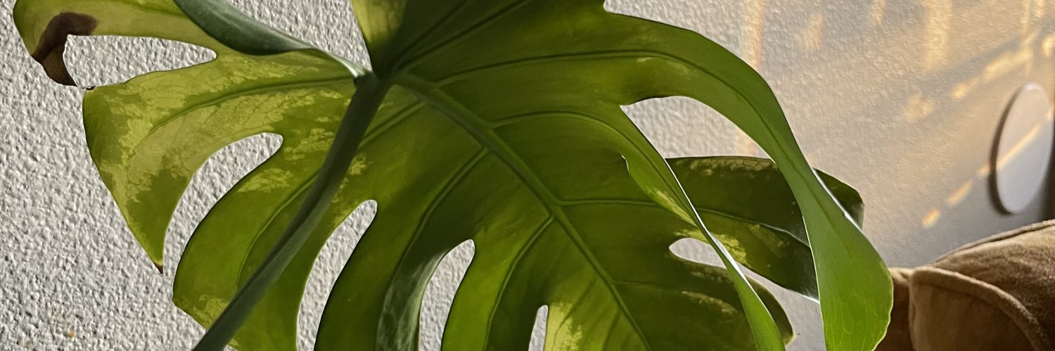 hotgorlsomer's profile banner image
