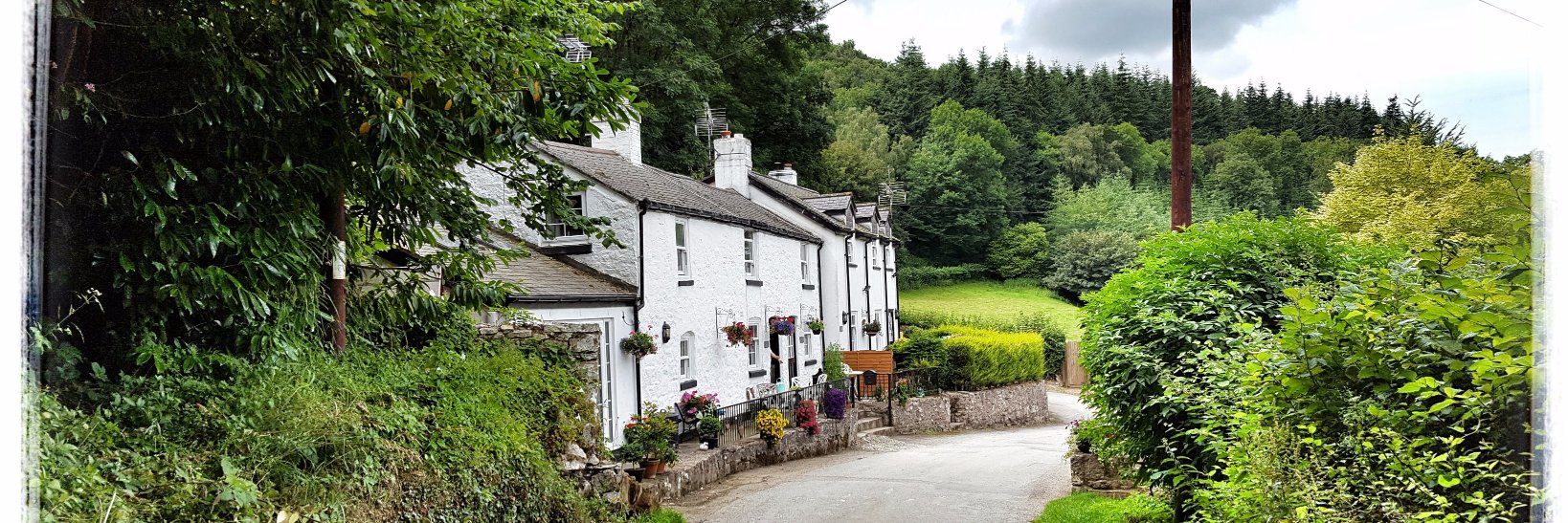 River__Cottage's profile banner image