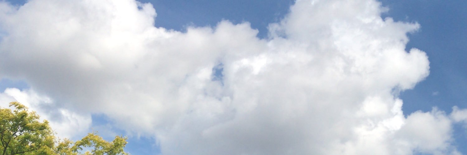 Yynaffitt's profile banner image